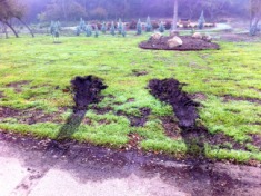 2012-03-12-1-Landscape changes Conifer Cove.jpg